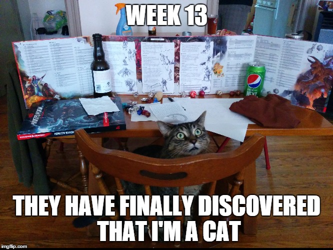 WEEK 13 THEY HAVE FINALLY DISCOVERED THAT I'M A CAT | image tagged in DnD | made w/ Imgflip meme maker