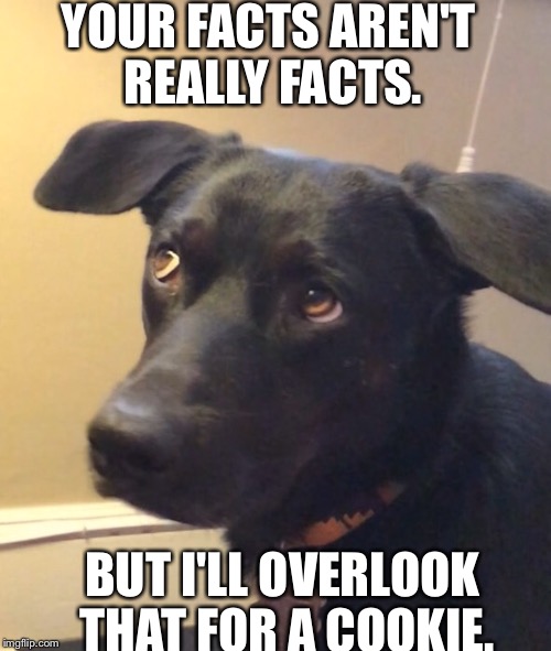 YOUR FACTS AREN'T REALLY FACTS. BUT I'LL OVERLOOK THAT FOR A COOKIE. | image tagged in skeptical bob,dogs | made w/ Imgflip meme maker