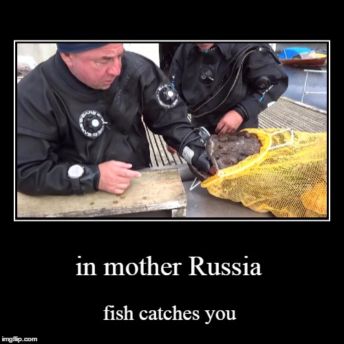 image tagged in funny,demotivationals | made w/ Imgflip demotivational maker
