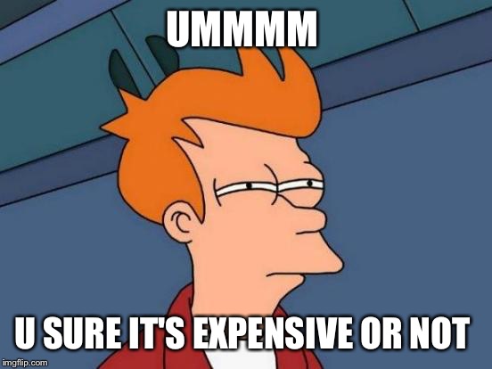 Futurama Fry | UMMMM U SURE IT'S EXPENSIVE OR NOT | image tagged in memes,futurama fry | made w/ Imgflip meme maker