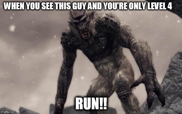Skyrim Frost Troll | WHEN YOU SEE THIS GUY AND YOU'RE ONLY LEVEL 4 RUN!! | image tagged in skyrim frost troll | made w/ Imgflip meme maker