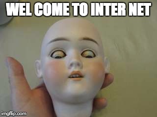 WEL COME TO INTER NET | image tagged in dollllllllllllllll | made w/ Imgflip meme maker