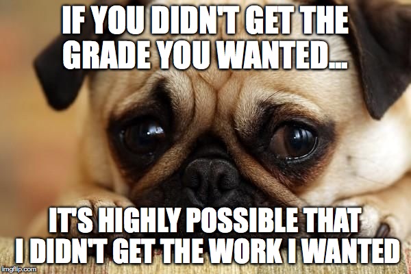 Sad Puppy | IF YOU DIDN'T GET THE GRADE YOU WANTED... IT'S HIGHLY POSSIBLE THAT I DIDN'T GET THE WORK I WANTED | image tagged in sad puppy | made w/ Imgflip meme maker