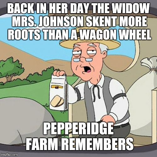 Pepperidge Farm Remembers | BACK IN HER DAY THE WIDOW MRS. JOHNSON SKENT MORE ROOTS THAN A WAGON WHEEL PEPPERIDGE FARM REMEMBERS | image tagged in memes,pepperidge farm remembers | made w/ Imgflip meme maker