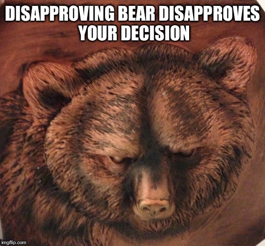 Disapproving Bear | DISAPPROVING BEAR DISAPPROVES YOUR DECISION | image tagged in disapproval | made w/ Imgflip meme maker