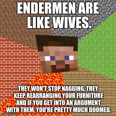 Someone's gonna say Steve's a feminist... | ENDERMEN ARE LIKE WIVES. THEY WON'T STOP NAGGING, THEY KEEP REARRANGING YOUR FURNITURE AND IF YOU GET INTO AN ARGUMENT WITH THEM, YOU'RE PRE | image tagged in minecraft,enderman,women,memes | made w/ Imgflip meme maker