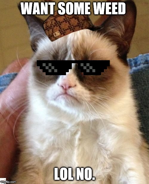 Grumpy Cat | WANT SOME WEED LOL NO. | image tagged in memes,grumpy cat,scumbag | made w/ Imgflip meme maker