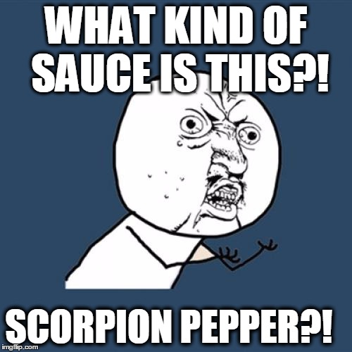 Y U No Meme | WHAT KIND OF SAUCE IS THIS?! SCORPION PEPPER?! | image tagged in memes,y u no | made w/ Imgflip meme maker