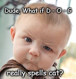 What If? | Dude, What if D - O - G really spells cat? | image tagged in memes,skeptical baby | made w/ Imgflip meme maker