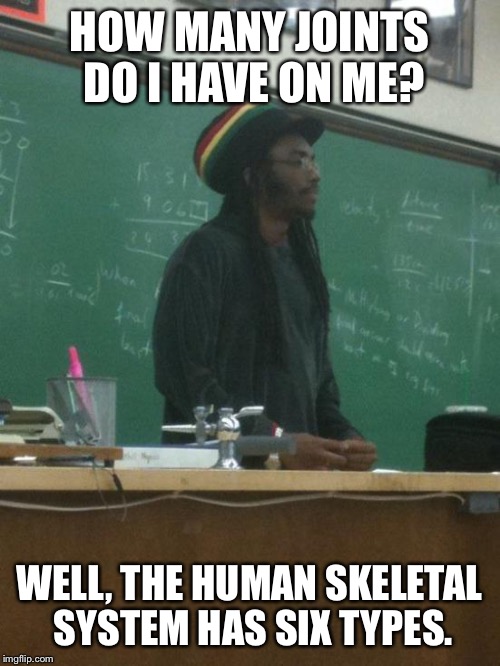 Rasta Science Teacher | HOW MANY JOINTS DO I HAVE ON ME? WELL, THE HUMAN SKELETAL SYSTEM HAS SIX TYPES. | image tagged in memes,rasta science teacher | made w/ Imgflip meme maker