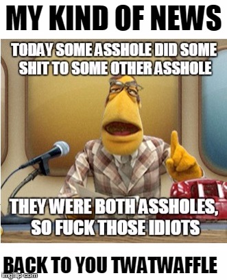 here is the news | MY KIND OF NEWS BACK TO YOU TWATWAFFLE | image tagged in news,muppets | made w/ Imgflip meme maker