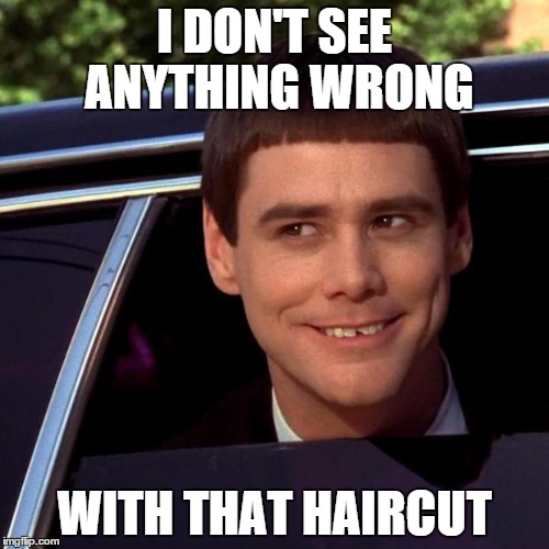 Dumb and Dumber | I DON'T SEE ANYTHING WRONG WITH THAT HAIRCUT | image tagged in dumb and dumber | made w/ Imgflip meme maker