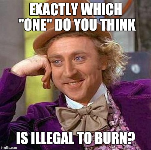 Creepy Condescending Wonka Meme | EXACTLY WHICH "ONE" DO YOU THINK IS ILLEGAL TO BURN? | image tagged in memes,creepy condescending wonka | made w/ Imgflip meme maker