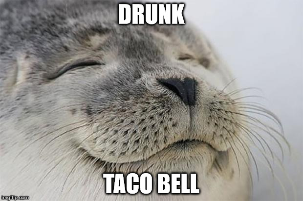 Satisfied Seal | DRUNK TACO BELL | image tagged in memes,satisfied seal | made w/ Imgflip meme maker