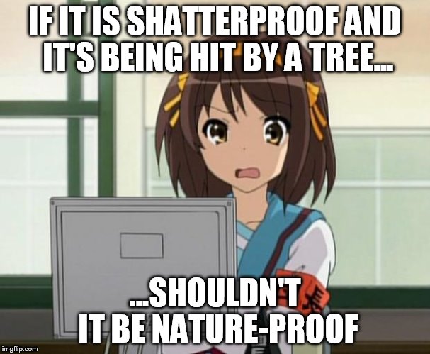 Haruhi Internet disturbed | IF IT IS SHATTERPROOF AND IT'S BEING HIT BY A TREE... ...SHOULDN'T IT BE NATURE-PROOF | image tagged in haruhi internet disturbed | made w/ Imgflip meme maker