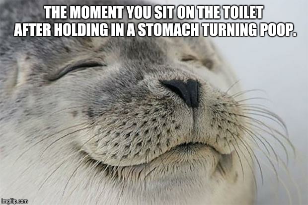 Satisfied Seal Meme | THE MOMENT YOU SIT ON THE TOILET AFTER HOLDING IN A STOMACH TURNING POOP. | image tagged in memes,satisfied seal,AdviceAnimals | made w/ Imgflip meme maker