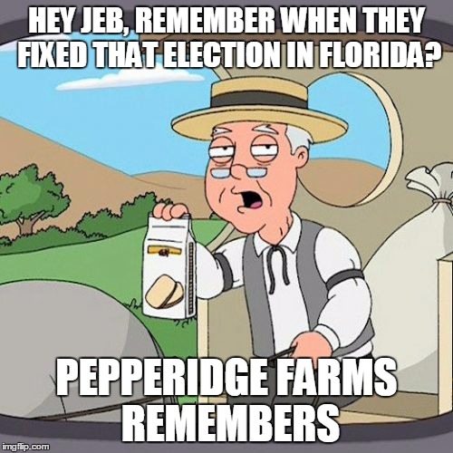 Pepperidge Farm Remembers Meme | HEY JEB, REMEMBER WHEN THEY FIXED THAT ELECTION IN FLORIDA? PEPPERIDGE FARMS REMEMBERS | image tagged in memes,pepperidge farm remembers | made w/ Imgflip meme maker