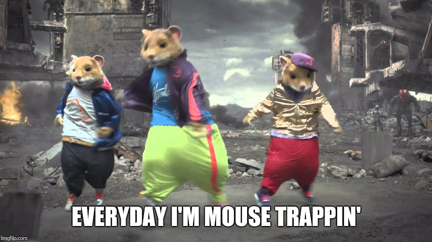EVERYDAY I'M MOUSE TRAPPIN' | image tagged in mouse trap | made w/ Imgflip meme maker