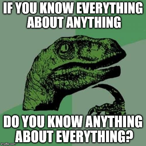 Philosoraptor Meme | IF YOU KNOW EVERYTHING ABOUT ANYTHING DO YOU KNOW ANYTHING ABOUT EVERYTHING? | image tagged in memes,philosoraptor | made w/ Imgflip meme maker