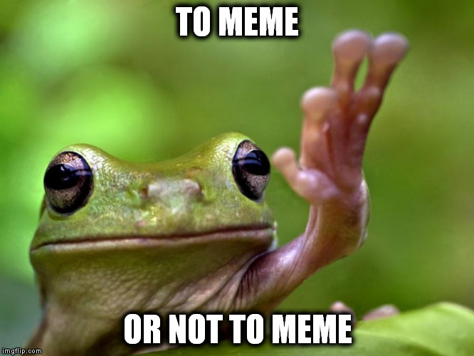 poetic frog | TO MEME OR NOT TO MEME | image tagged in frog,meme | made w/ Imgflip meme maker