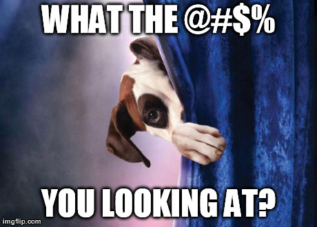 WHAT THE @#$% YOU LOOKING AT? | made w/ Imgflip meme maker