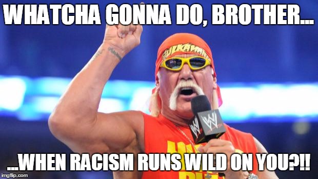 Hulk Hogan | WHATCHA GONNA DO, BROTHER... ...WHEN RACISM RUNS WILD ON YOU?!! | image tagged in hulk hogan | made w/ Imgflip meme maker