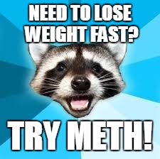 raccoon | NEED TO LOSE WEIGHT FAST? TRY METH! | image tagged in raccoon | made w/ Imgflip meme maker