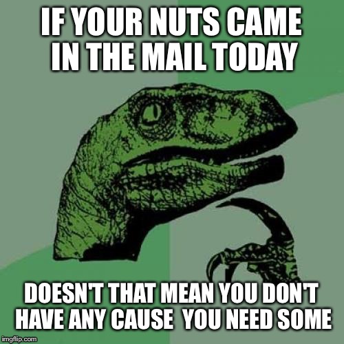 Philosoraptor | IF YOUR NUTS CAME IN THE MAIL TODAY DOESN'T THAT MEAN YOU DON'T HAVE ANY CAUSE  YOU NEED SOME | image tagged in memes,philosoraptor | made w/ Imgflip meme maker
