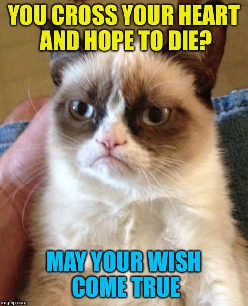 I was trying to post this all day... | YOU CROSS YOUR HEART AND HOPE TO DIE? MAY YOUR WISH COME TRUE | image tagged in memes,grumpy cat | made w/ Imgflip meme maker