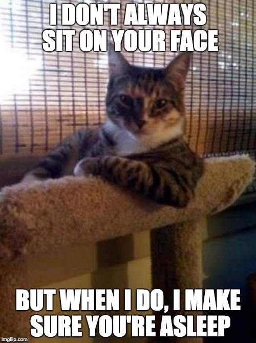 The Most Interesting Cat In The World | I DON'T ALWAYS SIT ON YOUR FACE BUT WHEN I DO, I MAKE SURE YOU'RE ASLEEP | image tagged in memes,the most interesting cat in the world | made w/ Imgflip meme maker