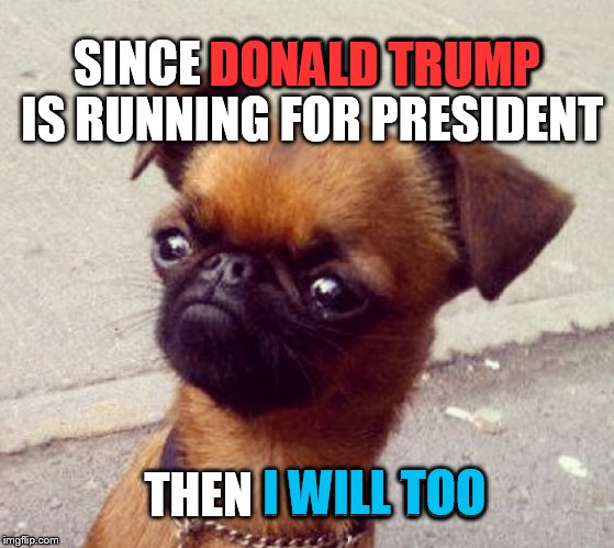 Crumpet for President | SINCE DONALD TRUMP IS RUNNING FOR PRESIDENT THEN I WILL TOO DONALD TRUMP I WILL TOO | image tagged in crumpet,memes | made w/ Imgflip meme maker