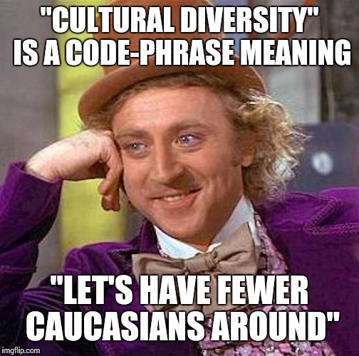 White Flight City | "CULTURAL DIVERSITY" IS A CODE-PHRASE MEANING "LET'S HAVE FEWER CAUCASIANS AROUND" | image tagged in memes,creepy condescending wonka,racism | made w/ Imgflip meme maker