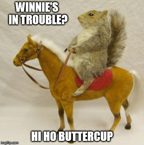hi ho buttercup | WINNIE'S IN TROUBLE? HI HO BUTTERCUP | image tagged in winnie the pooh | made w/ Imgflip meme maker
