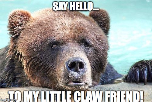 Sad Bears | SAY HELLO... TO MY LITTLE CLAW FRIEND! | image tagged in sad bears | made w/ Imgflip meme maker
