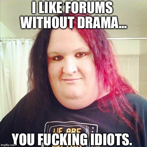 I LIKE FORUMS WITHOUT DRAMA... YOU F**KING IDIOTS. | made w/ Imgflip meme maker