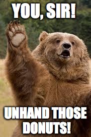 grizzly bear | YOU, SIR! UNHAND THOSE DONUTS! | image tagged in grizzly bear | made w/ Imgflip meme maker