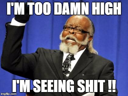 Too Damn High | I'M TOO DAMN HIGH I'M SEEING SHIT !! | image tagged in memes,too damn high | made w/ Imgflip meme maker