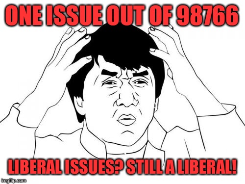 Jackie Chan WTF Meme | ONE ISSUE OUT OF 98766 LIBERAL ISSUES? STILL A LIBERAL! | image tagged in memes,jackie chan wtf | made w/ Imgflip meme maker