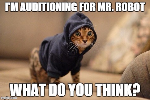 Mr. Robot Audition | I'M AUDITIONING FOR MR. ROBOT WHAT DO YOU THINK? | image tagged in memes,hoody cat,mr,robot,audition | made w/ Imgflip meme maker