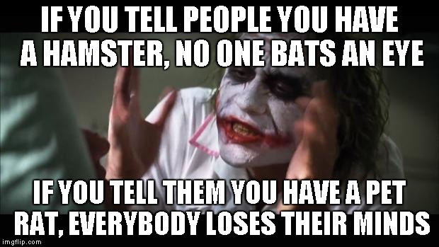 And everybody loses their minds Meme | IF YOU TELL PEOPLE YOU HAVE A HAMSTER, NO ONE BATS AN EYE IF YOU TELL THEM YOU HAVE A PET RAT, EVERYBODY LOSES THEIR MINDS | image tagged in memes,and everybody loses their minds | made w/ Imgflip meme maker