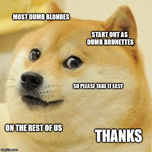 Doge | MOST DUMB BLONDES START OUT AS DUMB BRUNETTES SO PLEASE TAKE IT EASY ON THE REST OF US THANKS | image tagged in memes,doge | made w/ Imgflip meme maker