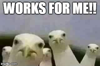 works for me | WORKS FOR ME!! | image tagged in works for me,seagulls | made w/ Imgflip meme maker