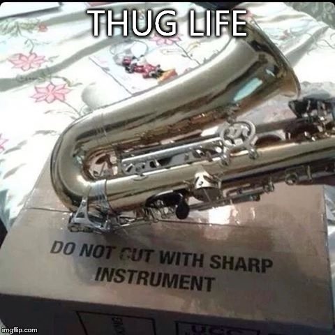 Thug life | THUG LIFE | image tagged in thug life | made w/ Imgflip meme maker