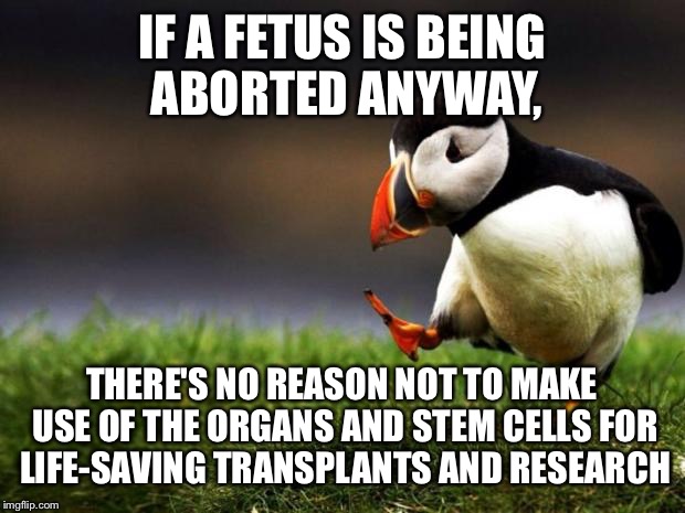 I'm going to be hated for this, but IDGAF. It makes logical sense. | IF A FETUS IS BEING ABORTED ANYWAY, THERE'S NO REASON NOT TO MAKE USE OF THE ORGANS AND STEM CELLS FOR LIFE-SAVING TRANSPLANTS AND RESEARCH | image tagged in memes,unpopular opinion puffin | made w/ Imgflip meme maker