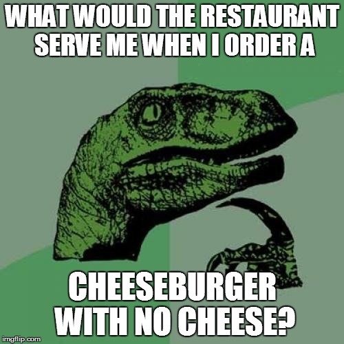 Philosoraptor | WHAT WOULD THE RESTAURANT SERVE ME WHEN I ORDER A CHEESEBURGER WITH NO CHEESE? | image tagged in memes,philosoraptor | made w/ Imgflip meme maker