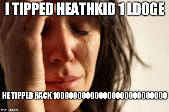 First World Problems Meme | I TIPPED HEATHKID 1 LDOGE HE TIPPED BACK 100000000000000000000000000 | image tagged in memes,first world problems | made w/ Imgflip meme maker