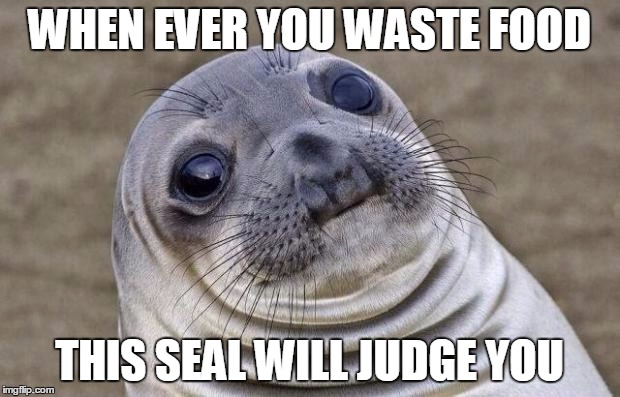 Awkward Moment Sealion | WHEN EVER YOU WASTE FOOD THIS SEAL WILL JUDGE YOU | image tagged in memes,awkward moment sealion | made w/ Imgflip meme maker