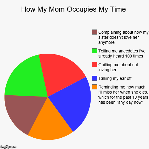 Crazy Mom | image tagged in funny,pie charts | made w/ Imgflip chart maker