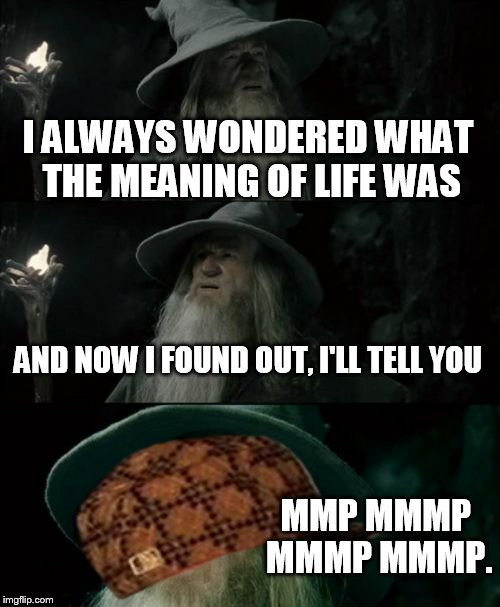 Confused Gandalf Meme | I ALWAYS WONDERED WHAT THE MEANING OF LIFE WAS AND NOW I FOUND OUT, I'LL TELL YOU MMP MMMP MMMP MMMP. | image tagged in memes,confused gandalf,scumbag | made w/ Imgflip meme maker
