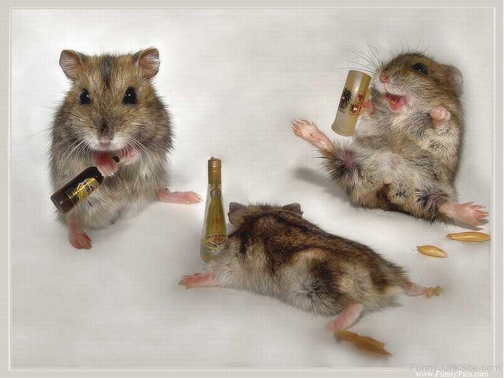 Party Mouses Blank Meme Template
